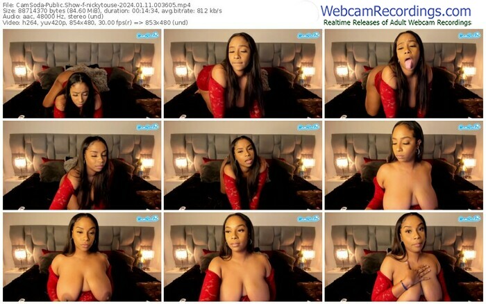 camsoda-nickytouse-01-11-2024-00-36-05