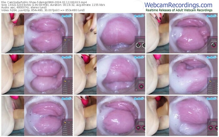 camsoda-danigirl866-02-12-2024-06-16-13