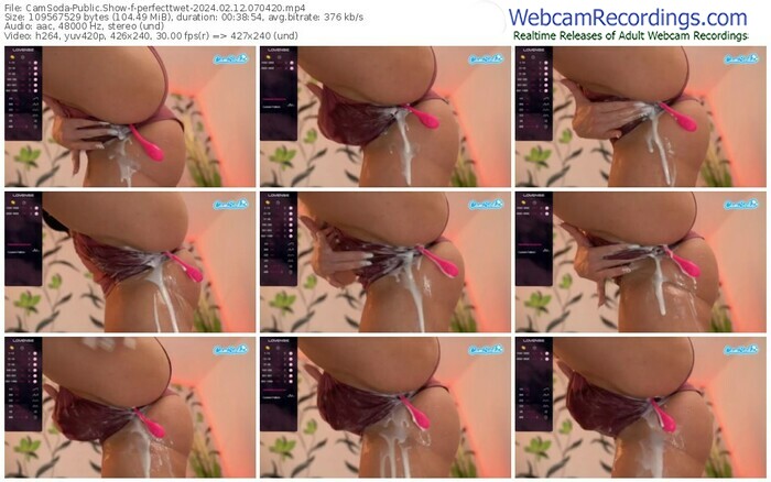 camsoda-perfecttwet-02-12-2024-07-04-20