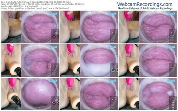 camsoda-danigirl866-03-23-2024-00-32-26