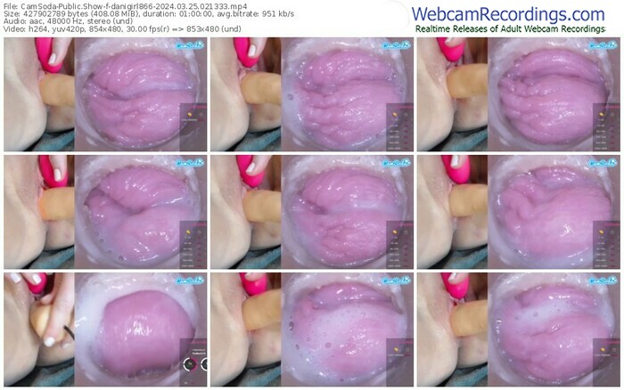 camsoda-danigirl866-03-25-2024-02-13-33