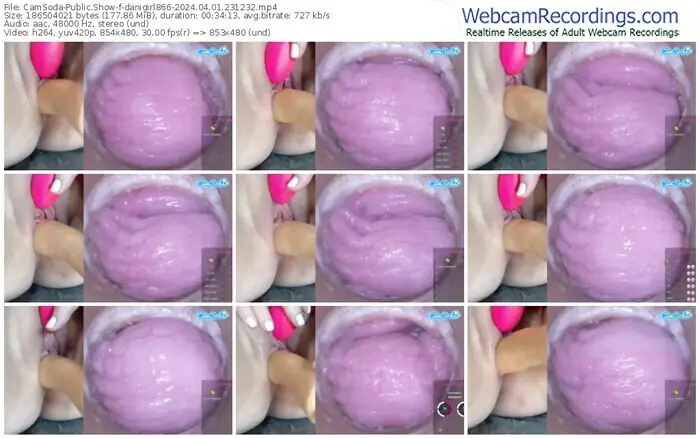 camsoda-danigirl866-04-01-2024-23-12-32