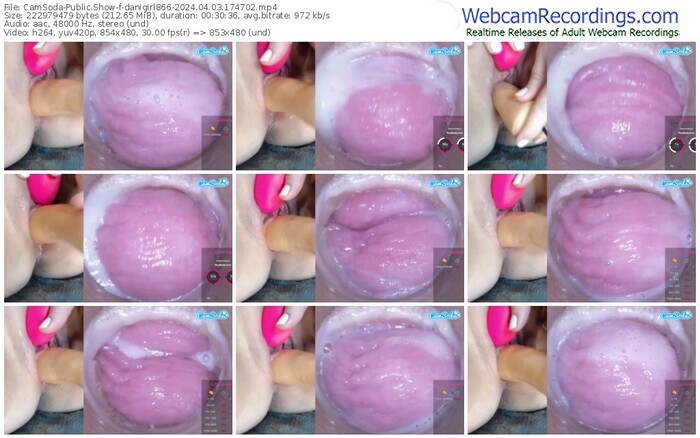 camsoda-danigirl866-04-03-2024-17-47-02