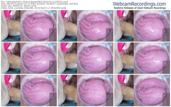 camsoda-danigirl866-04-12-2024-18-30-12