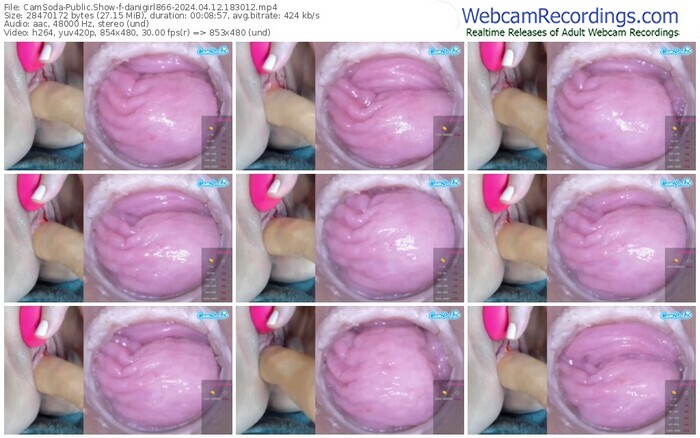 camsoda-danigirl866-04-12-2024-18-30-12