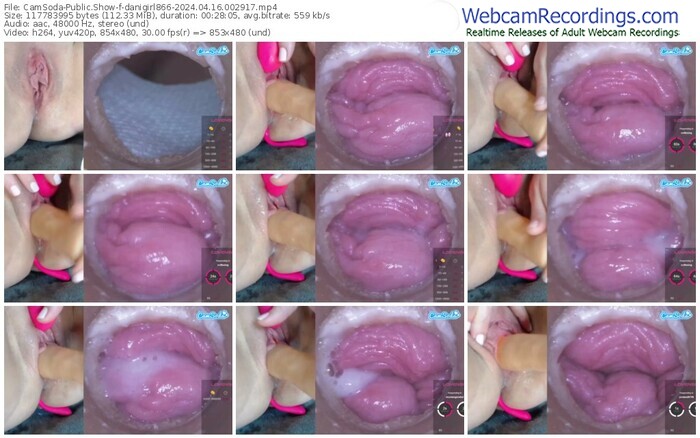 camsoda-danigirl866-04-16-2024-00-29-17