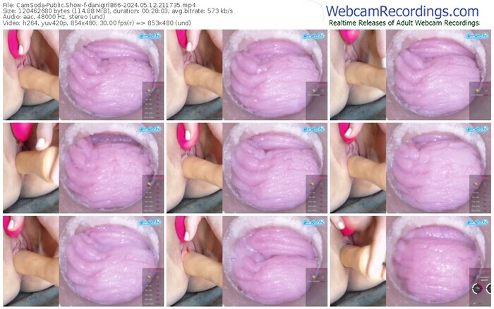 camsoda-danigirl866-05-12-2024-21-17-35