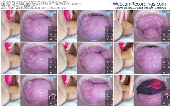 camsoda-danigirl866-05-21-2024-00-32-27