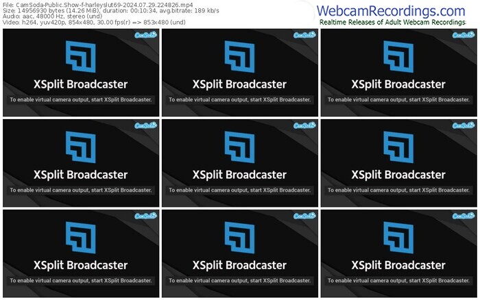 camsoda-harleyslut69-07-29-2024-22-48-26