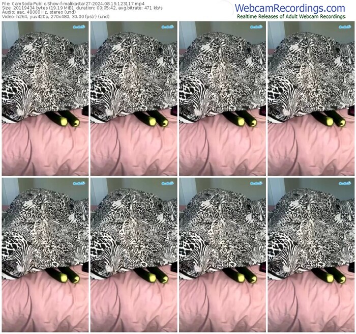 camsoda-malikastar27-08-19-2024-12-31-17