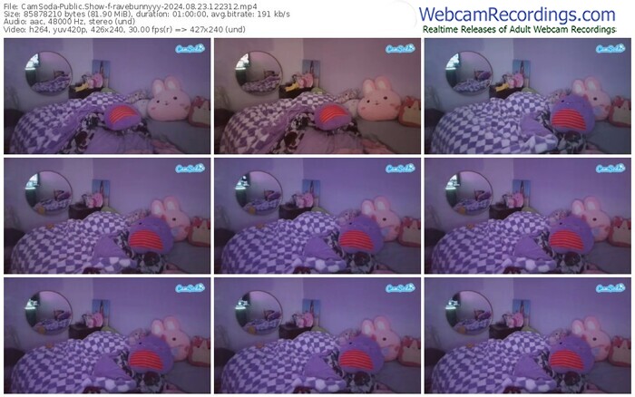 camsoda-ravebunnyyy-08-23-2024-12-23-12