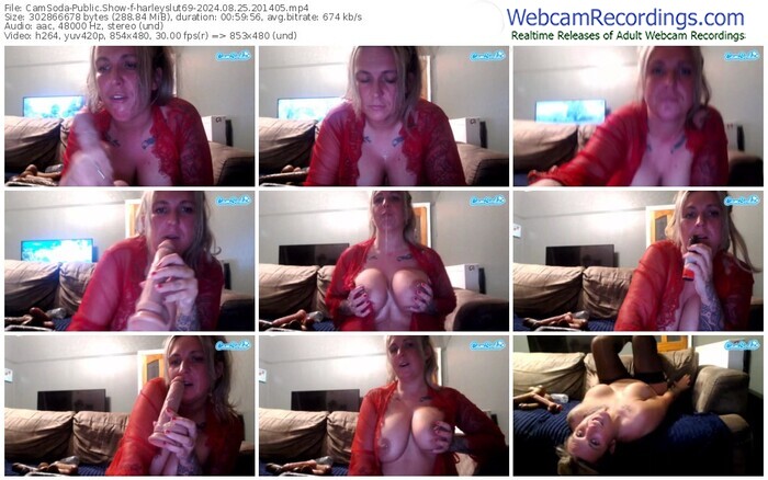 camsoda-harleyslut69-08-25-2024-20-14-05