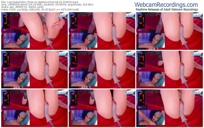 camsoda-danttee-08-25-2024-20-35-50