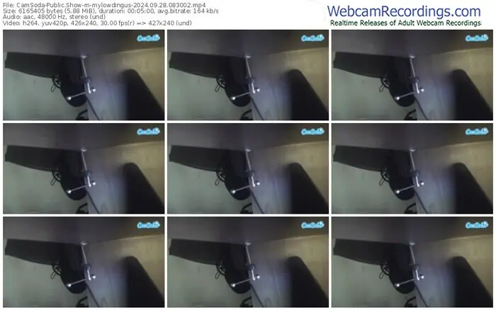 camsoda-mylowdingus-09-28-2024-08-30-02