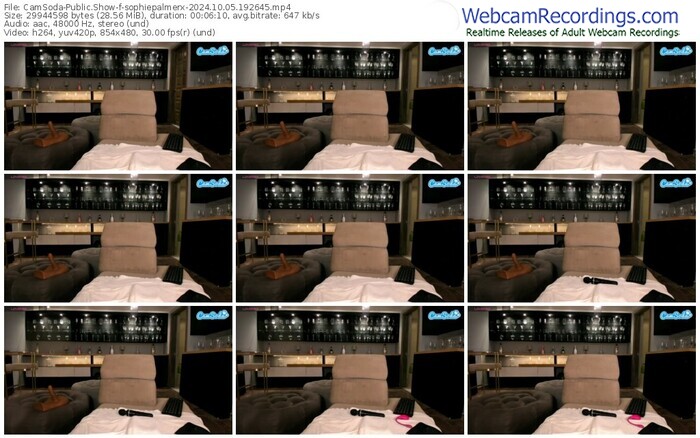 camsoda-sophiepalmerx-10-05-2024-19-26-45