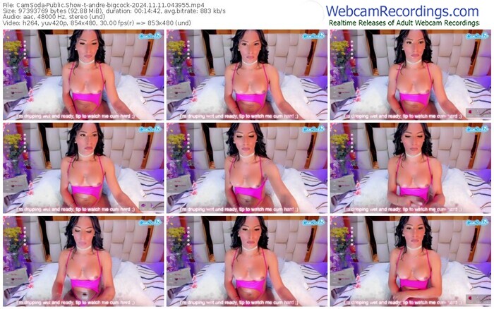 camsoda-andre-bigcock-11-11-2024-04-39-55