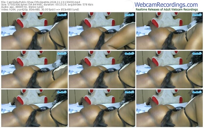 camsoda-thickpetite-11-13-2024-13-04-30