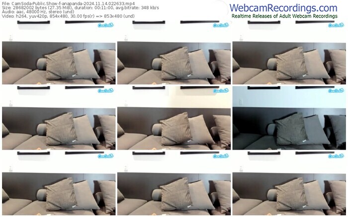 camsoda-anapanda-11-14-2024-02-26-33