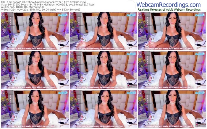 camsoda-andre-bigcock-11-20-2024-03-31-00