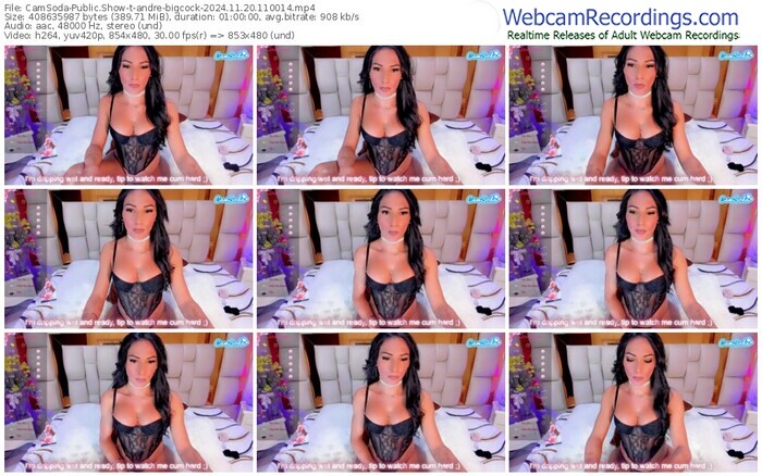 camsoda-andre-bigcock-11-20-2024-11-00-14