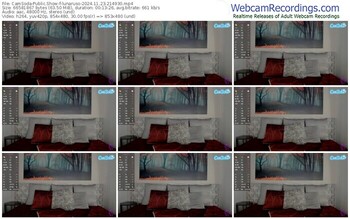 camsoda-lunaruso-11-23-2024-21-49-30