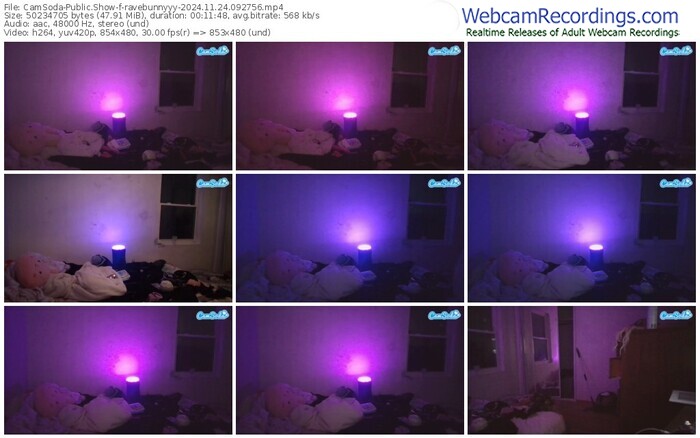 camsoda-ravebunnyyy-11-24-2024-09-27-56