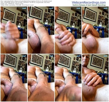 camsoda-trustedpetsittersnaples-11-25-2024-20-23-13