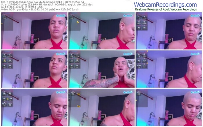 camsoda-wildy-temping-11-28-2024-20-05-25