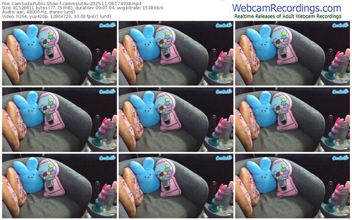 camsoda-cammslut4u-11-08-2025-17-49-38