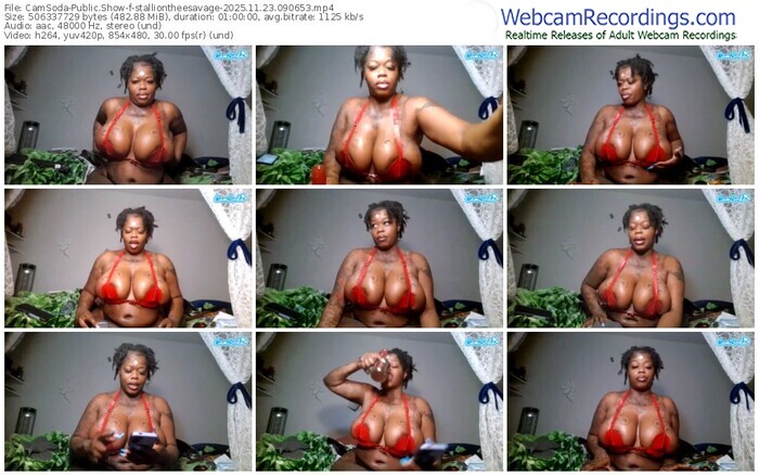 camsoda-stalliontheesavage-11-23-2025-09-06-53