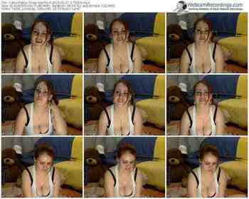 cams-merllin-public-show-02_07_2015-17_56_16