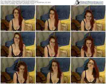 cams-merllin-public-show-02_08_2015-18_38_47