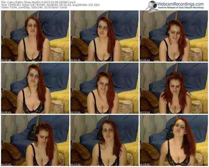 cams-merllin-public-show-02_08_2015-18_38_47