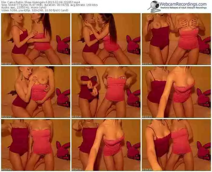 cams-noangels-public-show-02_08_2015-22_20_57