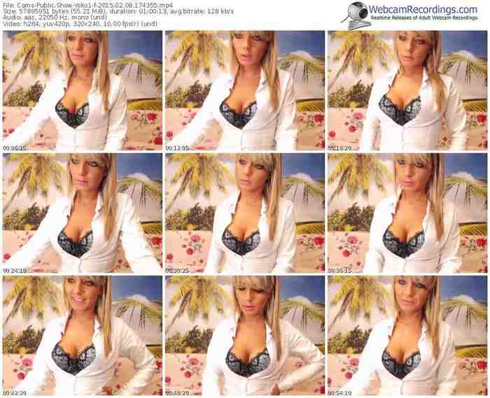 cams-yoko1-public-show-02_08_2015-17_43_55