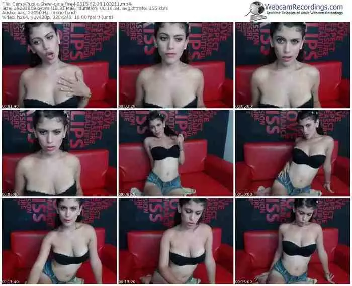 cams-gina_fire-public-show-02_08_2015-18_32_11