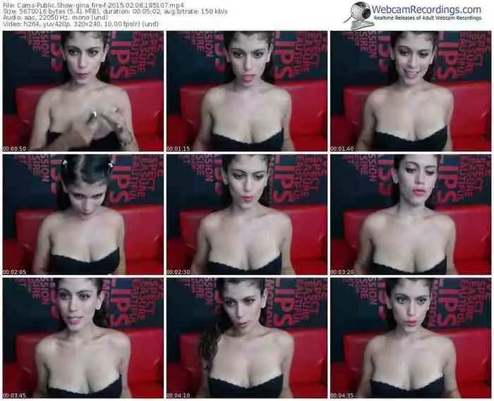cams-gina_fire-public-show-02_08_2015-18_51_07
