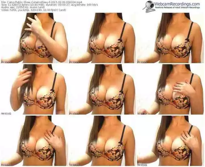 cams-cuteandsexy-public-show-02_09_2015-00_00_24