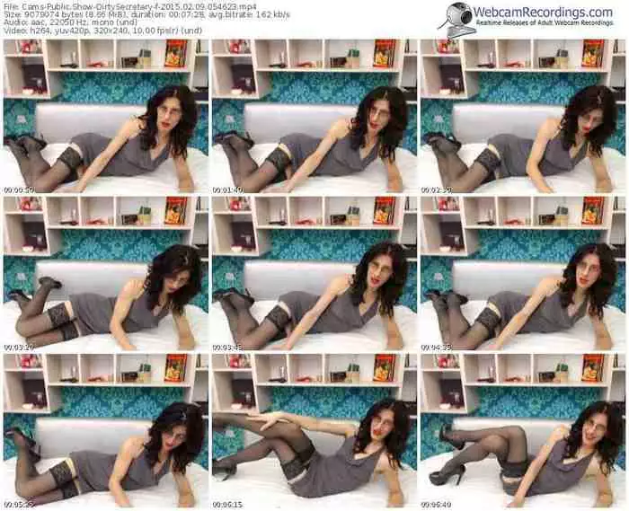 cams-dirtysecretary-public-show-02_09_2015-05_46_23