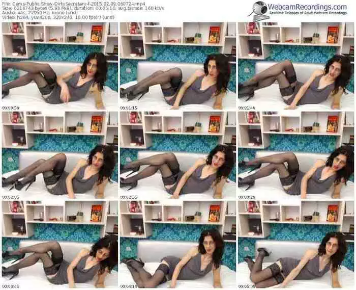 cams-dirtysecretary-public-show-02_09_2015-06_07_24