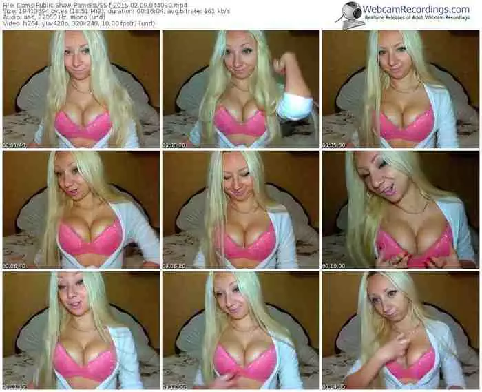 cams-pamelavss-public-show-02_09_2015-04_40_30
