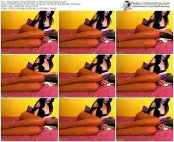 cams-perfectits-public-show-02_09_2015-01_12_29