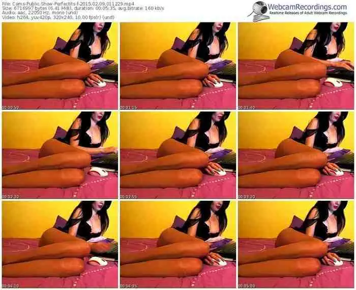 cams-perfectits-public-show-02_09_2015-01_12_29