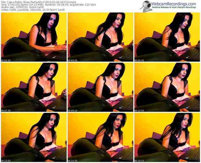 cams-perfectits-public-show-02_09_2015-02_37_24