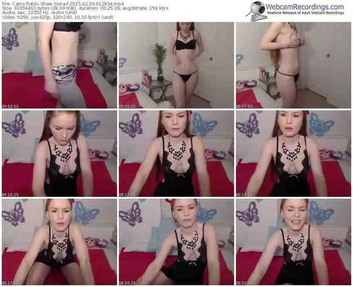 cams-siera-public-show-02_09_2015-01_29_34