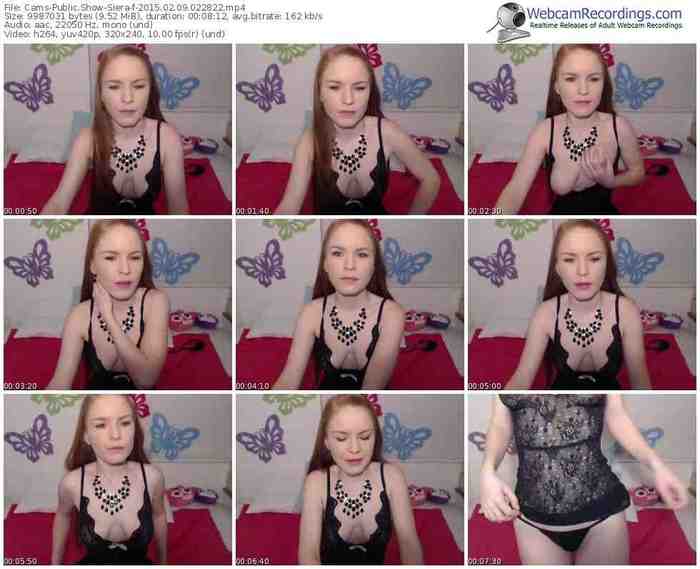 cams-siera-public-show-02_09_2015-02_28_22
