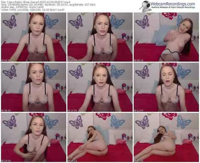 cams-siera-public-show-02_09_2015-06_41_57