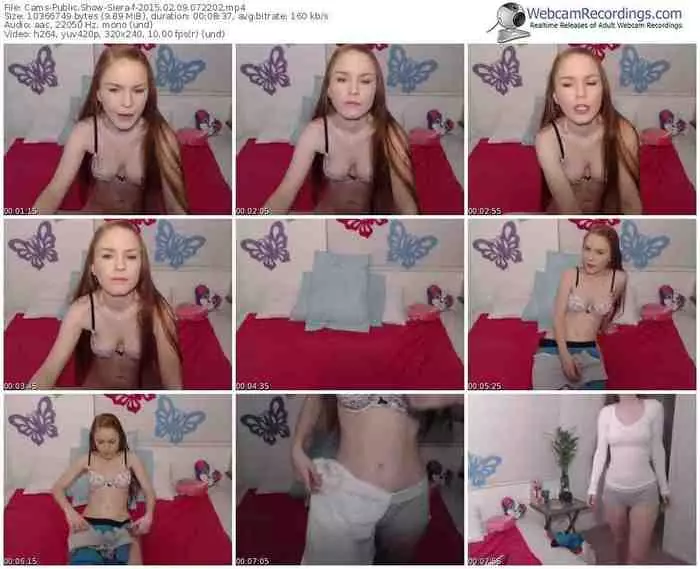 cams-siera-public-show-02_09_2015-07_22_02