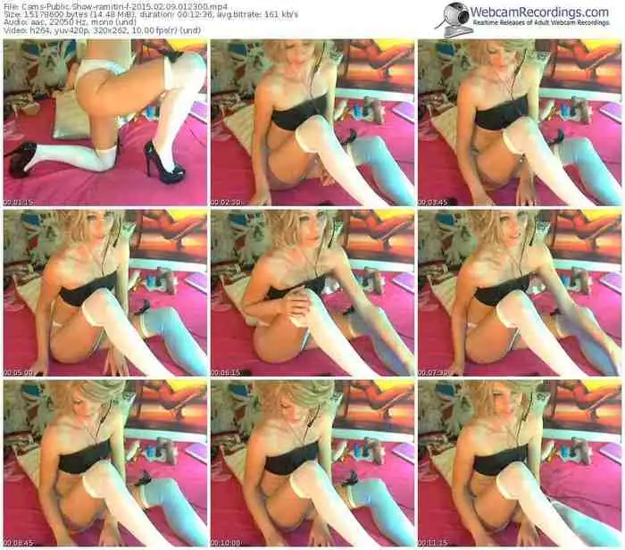 cams-ramitin-public-show-02_09_2015-01_23_00