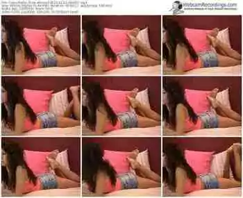 cams-alecsa-public-show-02_10_2015-09_41_57